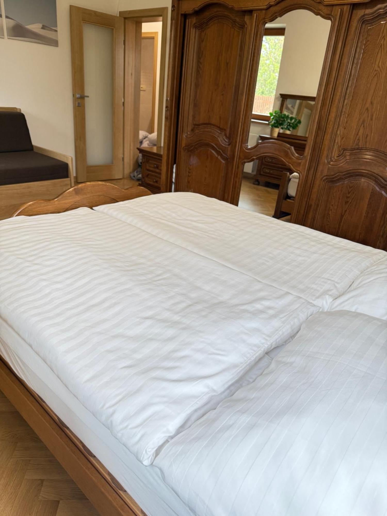 Familyvilla, New 4 Luxury Big Apartments, Parking Prague Ngoại thất bức ảnh